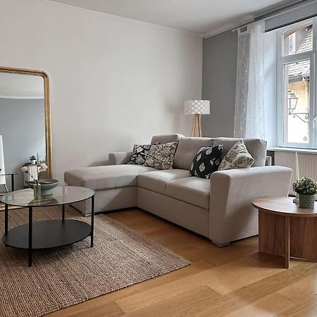 Hypercentre 80M2, A Deux Pas Du Chateau Des Rohan サヴェルヌ エクステリア 写真