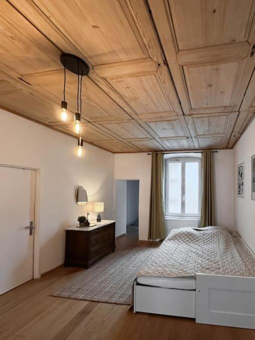 Hypercentre 80M2, A Deux Pas Du Chateau Des Rohan サヴェルヌ エクステリア 写真