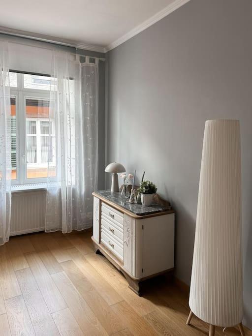 Hypercentre 80M2, A Deux Pas Du Chateau Des Rohan サヴェルヌ エクステリア 写真