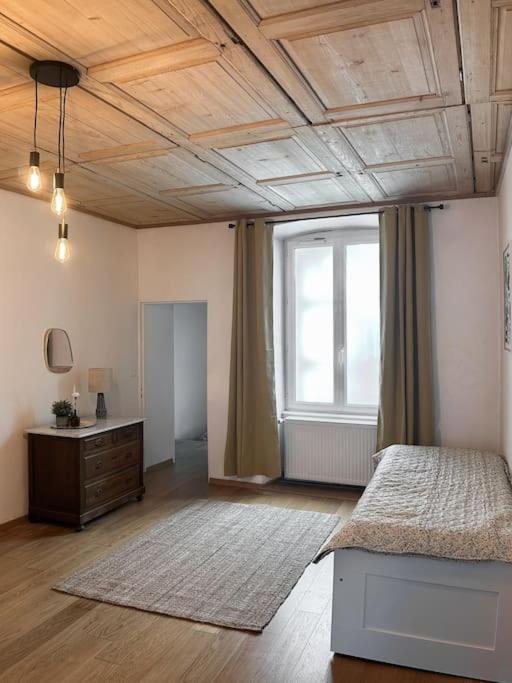 Hypercentre 80M2, A Deux Pas Du Chateau Des Rohan サヴェルヌ エクステリア 写真