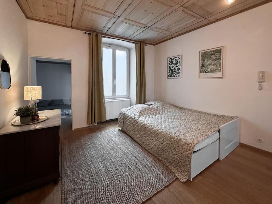 Hypercentre 80M2, A Deux Pas Du Chateau Des Rohan サヴェルヌ エクステリア 写真
