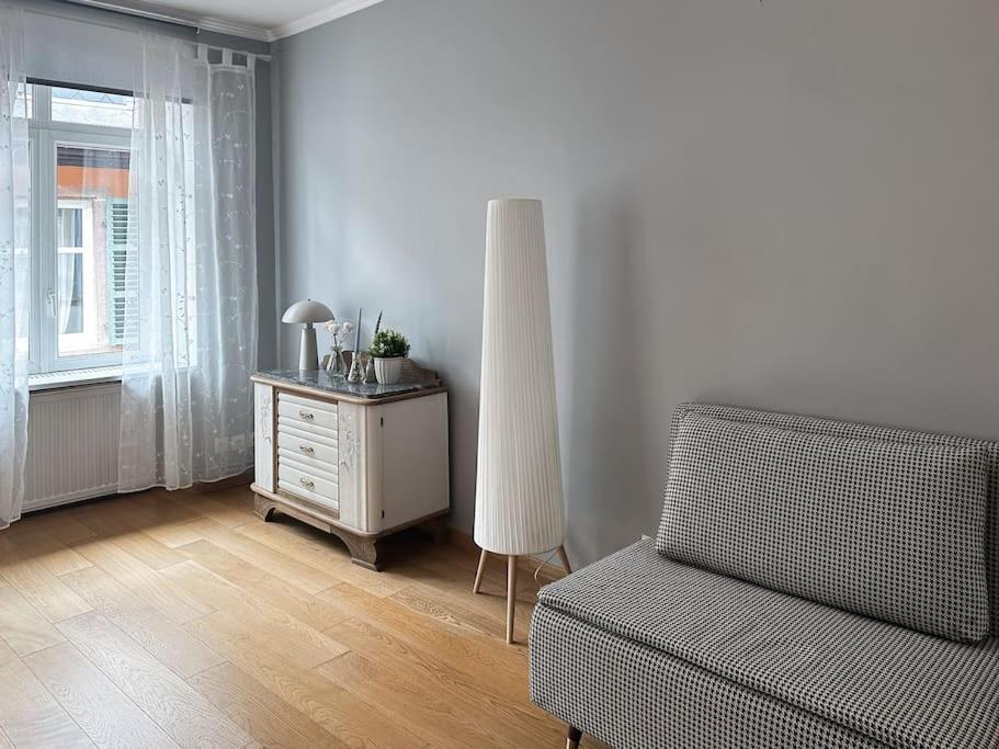 Hypercentre 80M2, A Deux Pas Du Chateau Des Rohan サヴェルヌ エクステリア 写真